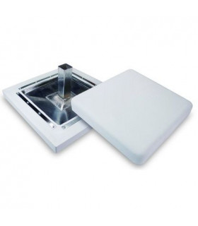 Base profesional beisbol PSB